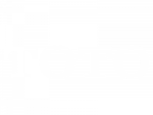 TOTO.png