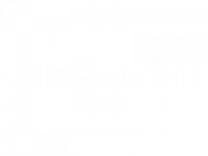 viessmann.png