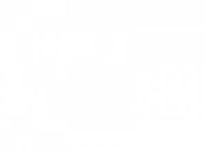 wilo-1.png